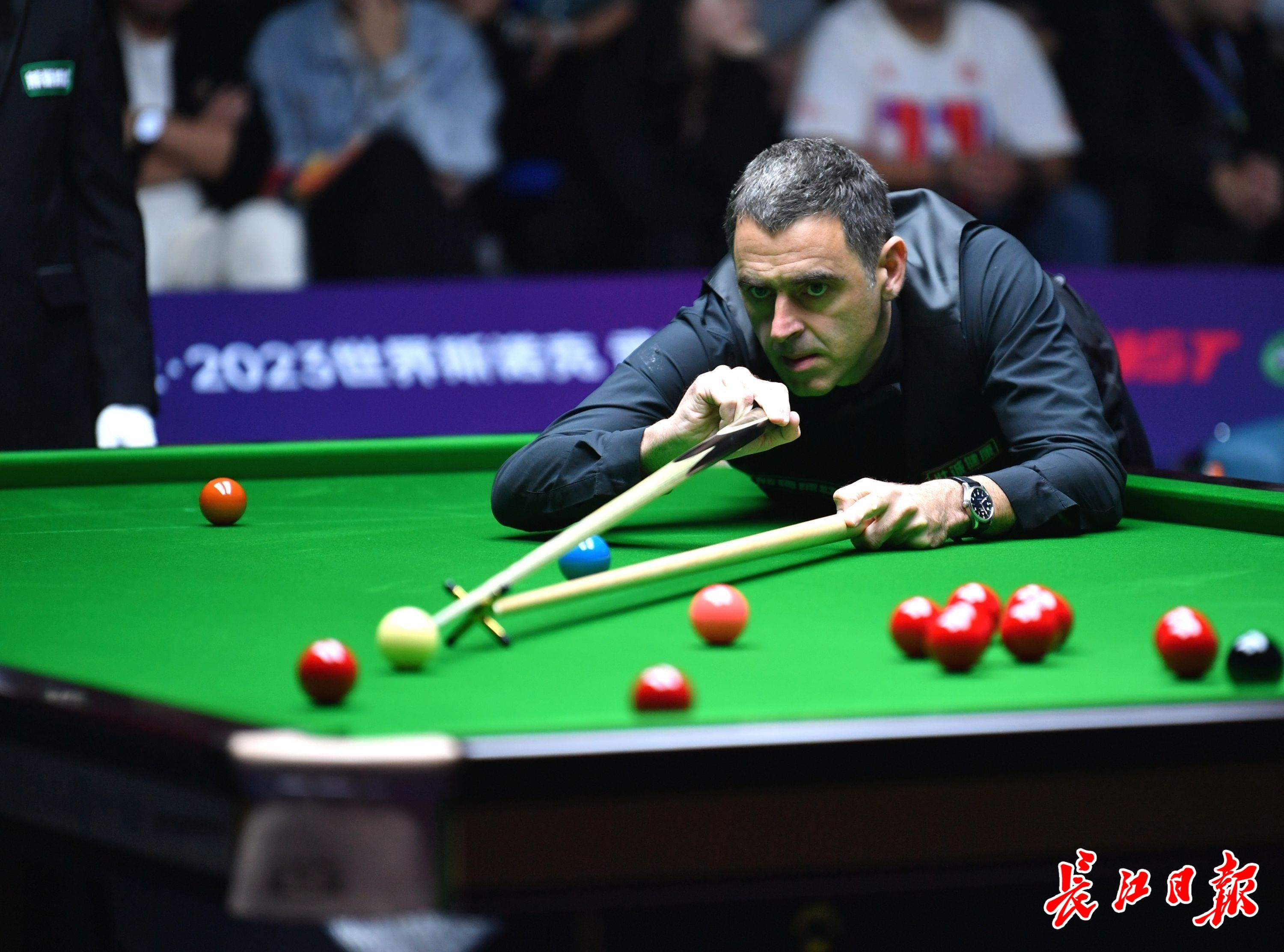 终花落谁家 终花落谁家