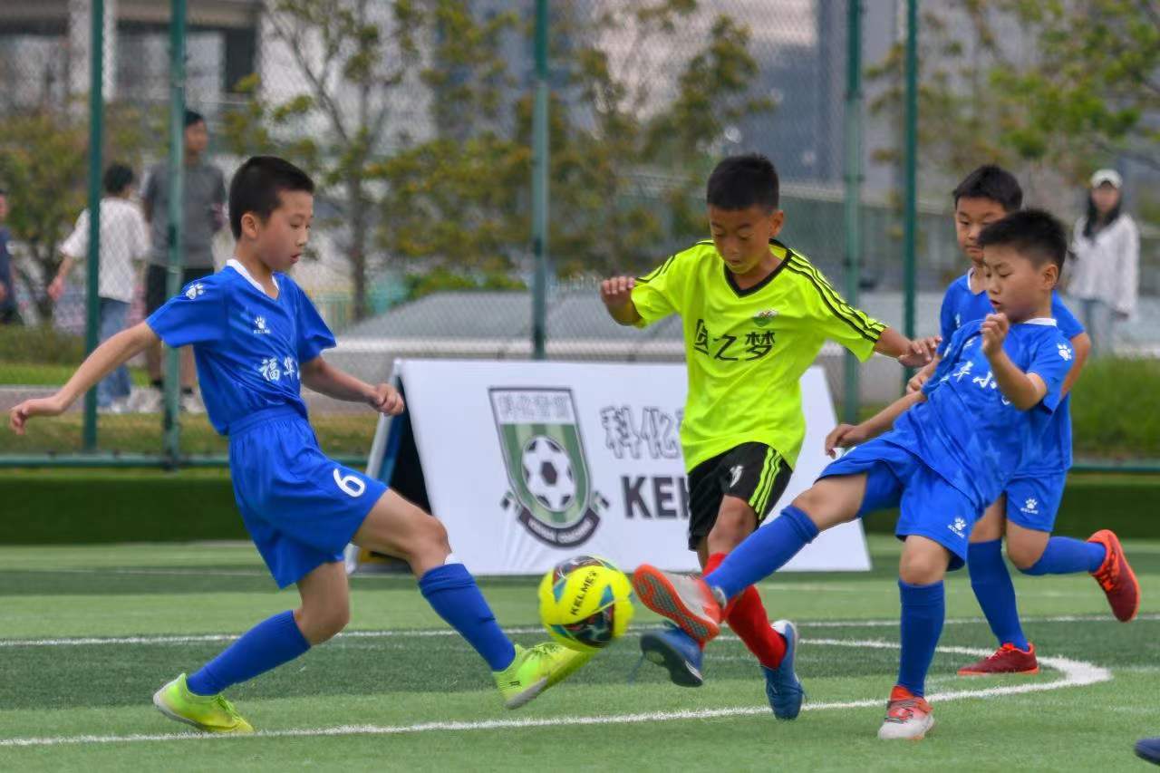 调整以应对 调整以应对